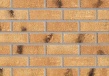 Термопанель из экструдированного пенополистирола Пеноплекс (ЭППС) с клинкерной плиткой MANUS TONGA CARBON, ROBEN